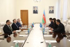 Səhiyyə naziri BMT-nin Azərbaycandakı rezident əlaqələndiricisi ilə görüşüb (FOTO)