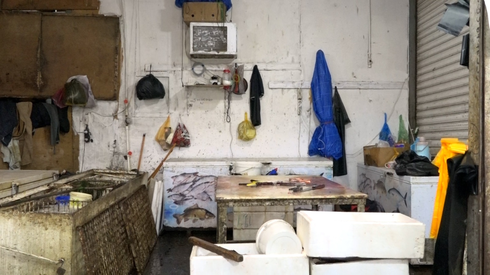 8-ci km bazarında balıq kürüsü satışında ciddi nöqsanlar aşkarlanıb (FOTO)