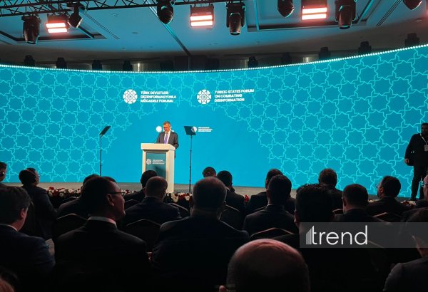 İnformasiya məkanında Türk dünyasının müdafiə arxitekturasının gücləndirilməsi zəruridir - Burhanettin Duran