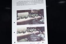 Ruben Vardanyanın məhkəməsində prokuror təqsirləndirilən şəxsin ömürlük azadlıqdan məhrum olunmasını təklif edib (FOTO)