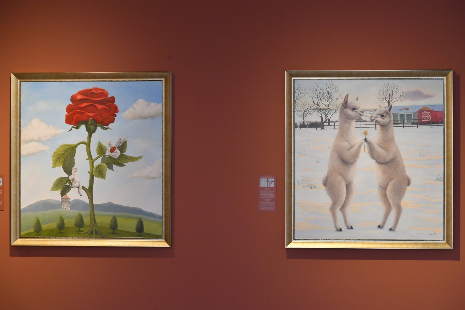 Perulu rəssam Sol Alexonun alpakaları Bakıda Heydər Əliyev Mərkəzində (FOTO/VİDEO)