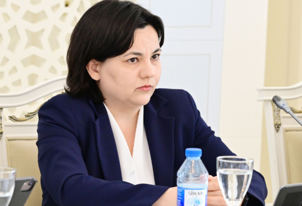 Azərbaycanda aqrar sahədə rəqəmsallaşma üzrə kadr hazırlığı genişləndirilməlidir – Nazir müavini