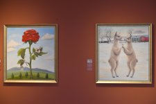 Perulu rəssam Sol Alexonun alpakaları Bakıda Heydər Əliyev Mərkəzində (FOTO/VİDEO)