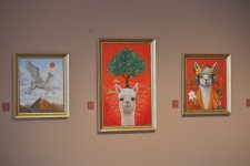 Perulu rəssam Sol Alexonun alpakaları Bakıda Heydər Əliyev Mərkəzində (FOTO/VİDEO)