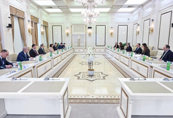 Sahibə Qafarova Monteneqro Baş nazirinin müavini ilə görüşüb (FOTO)