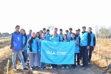 IDEA Bərdə və Beyləqanda kütləvi ağacəkmə aksiyaları təşkil edib (FOTO)