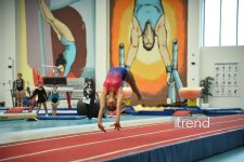 AGF 2025-ci il üzrə milli yarış təqvimini uğurla yekunlaşdırıb (FOTO)