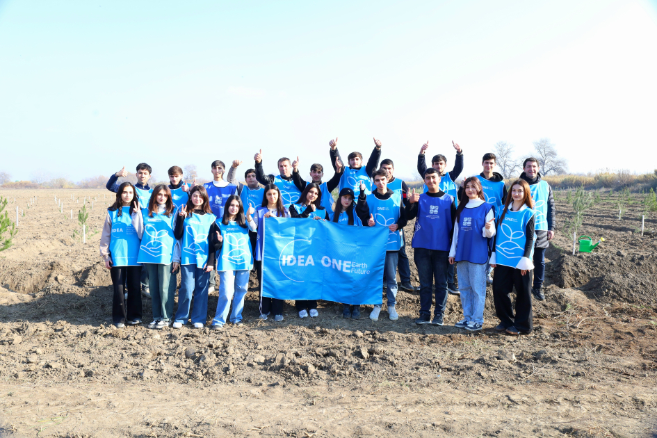 IDEA Bərdə və Beyləqanda kütləvi ağacəkmə aksiyaları təşkil edib (FOTO)