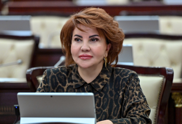 Azərbaycanın qlobal miqyasda etibarlı tərəfdaş kimi mövqeyi möhkəmlənib – Deputat