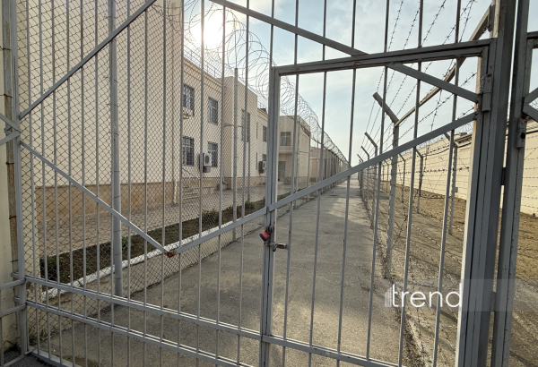 Vətən müharibəsi iştirakçılarına amnistiya tətbiq edilib