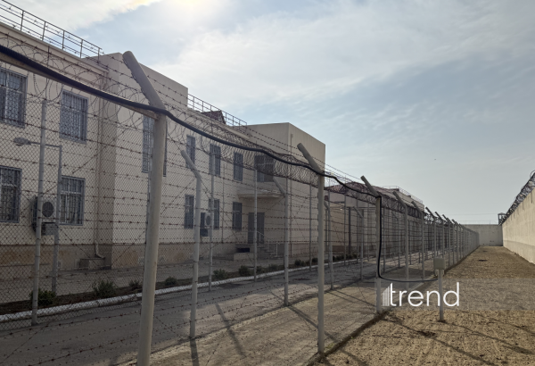 Amnistiya neçə qadına şamil edilib?