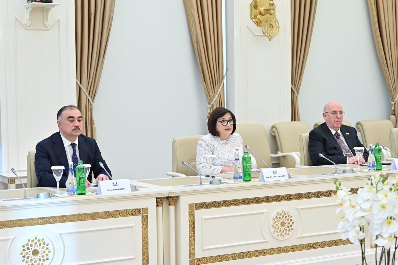 Sahibə Qafarova Türkiyənin Vitse-prezidenti Cevdet Yılmazla görüşüb (FOTO)