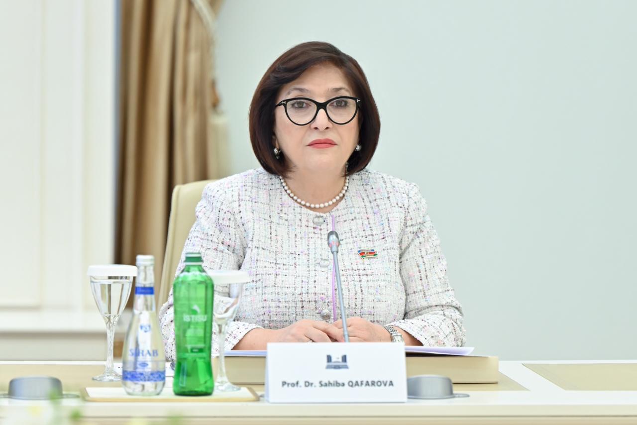 Sahibə Qafarova Türkiyənin Vitse-prezidenti Cevdet Yılmazla görüşüb (FOTO)