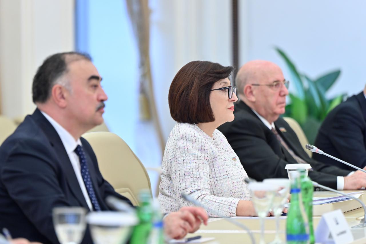 Sahibə Qafarova Türkiyənin Vitse-prezidenti Cevdet Yılmazla görüşüb (FOTO)