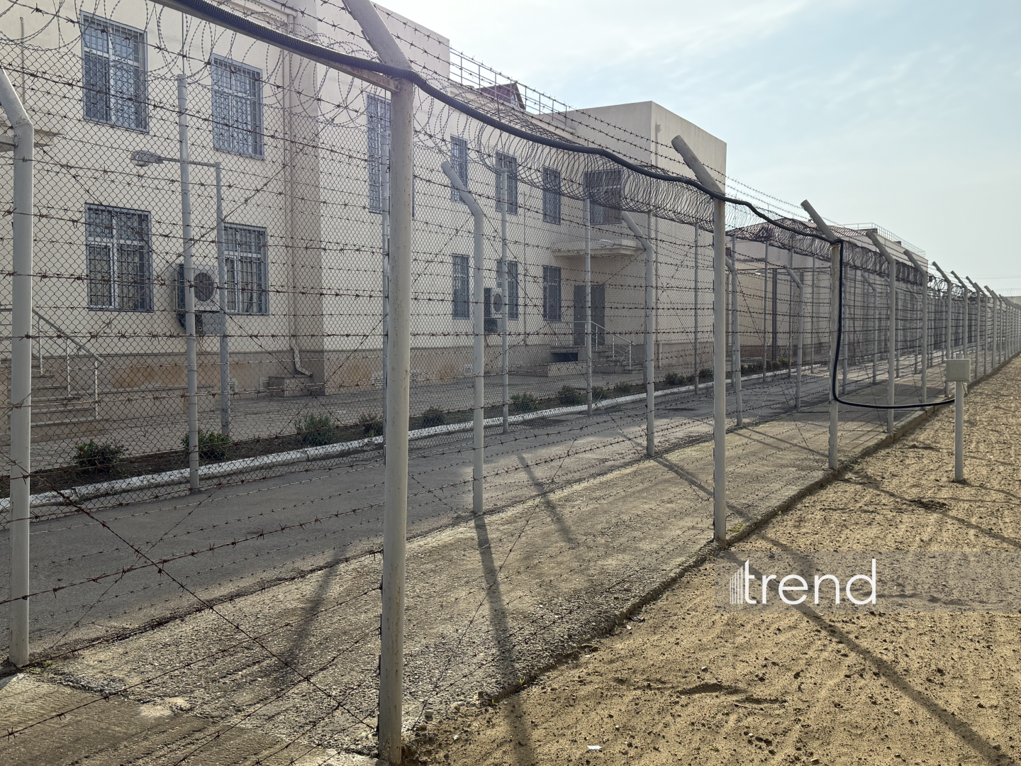 İndiyədək neçə nəfərə amnistiya tətbiq edilib?