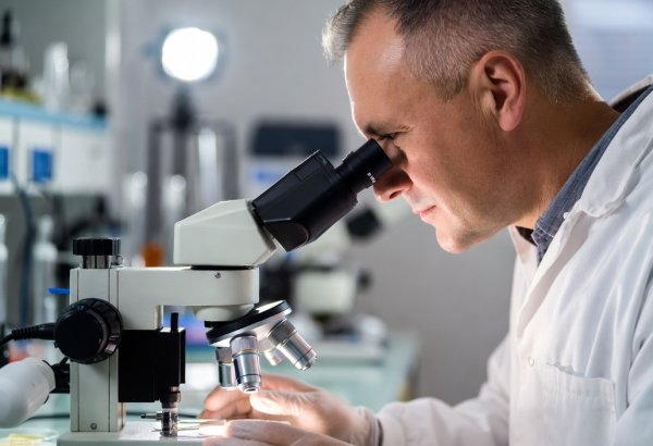 Xərçəngin müalicəsində inqilabi texnologiya icad olunub