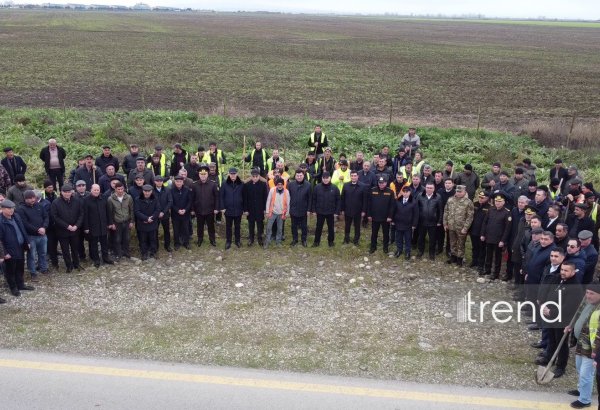 Xaçmazda növbəti ağacəkmə aksiyası keçirilib (FOTO)