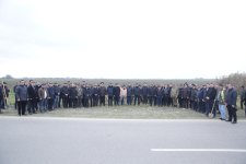Xaçmazda növbəti ağacəkmə aksiyası keçirilib (FOTO)