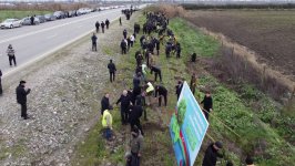 Xaçmazda növbəti ağacəkmə aksiyası keçirilib (FOTO)