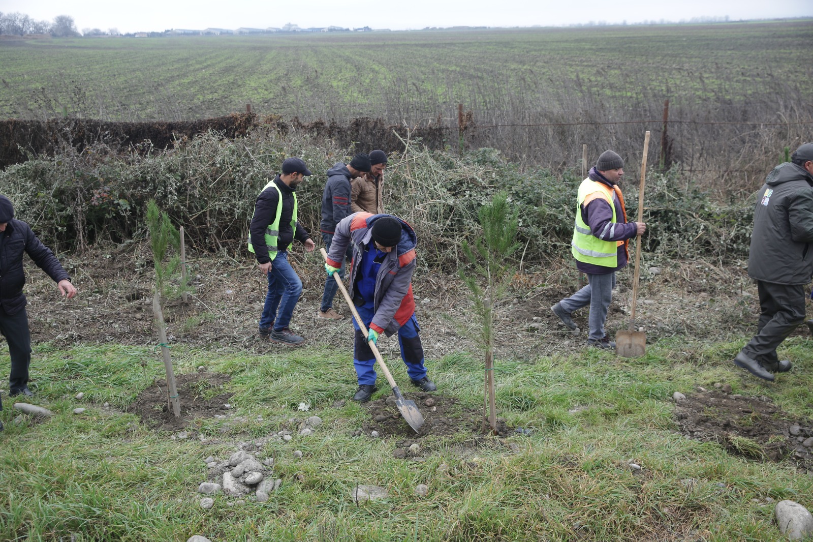 Xaçmazda növbəti ağacəkmə aksiyası keçirilib (FOTO)