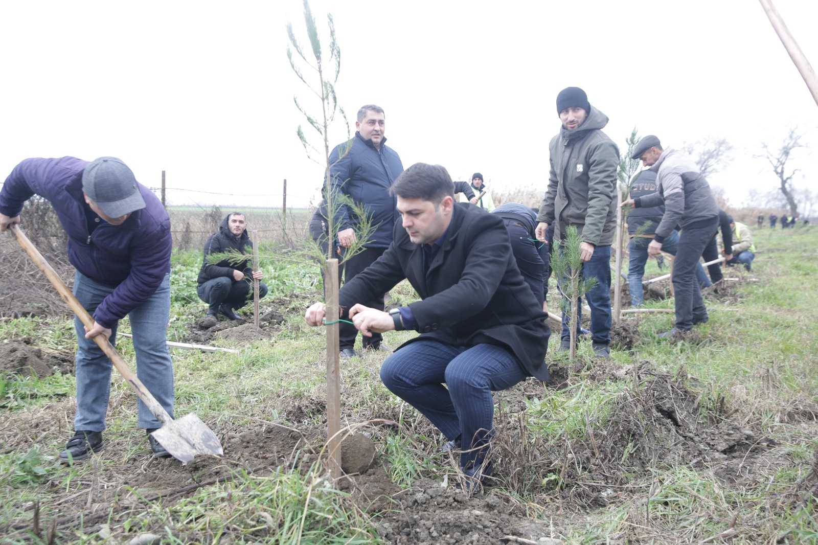 Xaçmazda növbəti ağacəkmə aksiyası keçirilib (FOTO)