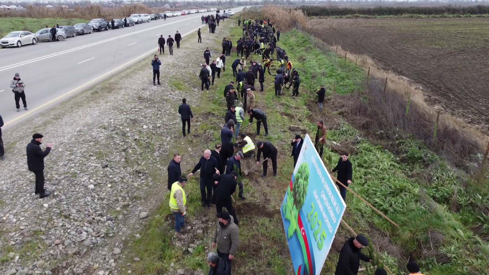 Xaçmazda növbəti ağacəkmə aksiyası keçirilib (FOTO)