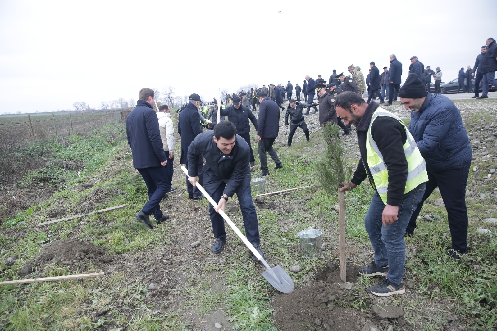 Xaçmazda növbəti ağacəkmə aksiyası keçirilib (FOTO)
