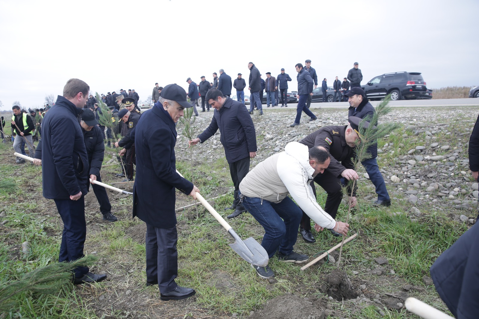 Xaçmazda növbəti ağacəkmə aksiyası keçirilib (FOTO)
