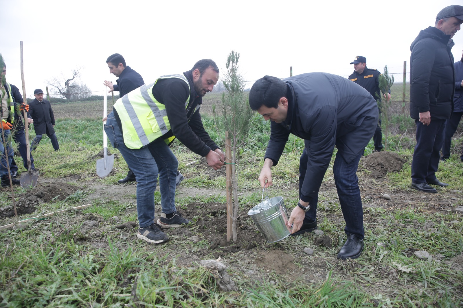 Xaçmazda növbəti ağacəkmə aksiyası keçirilib (FOTO)