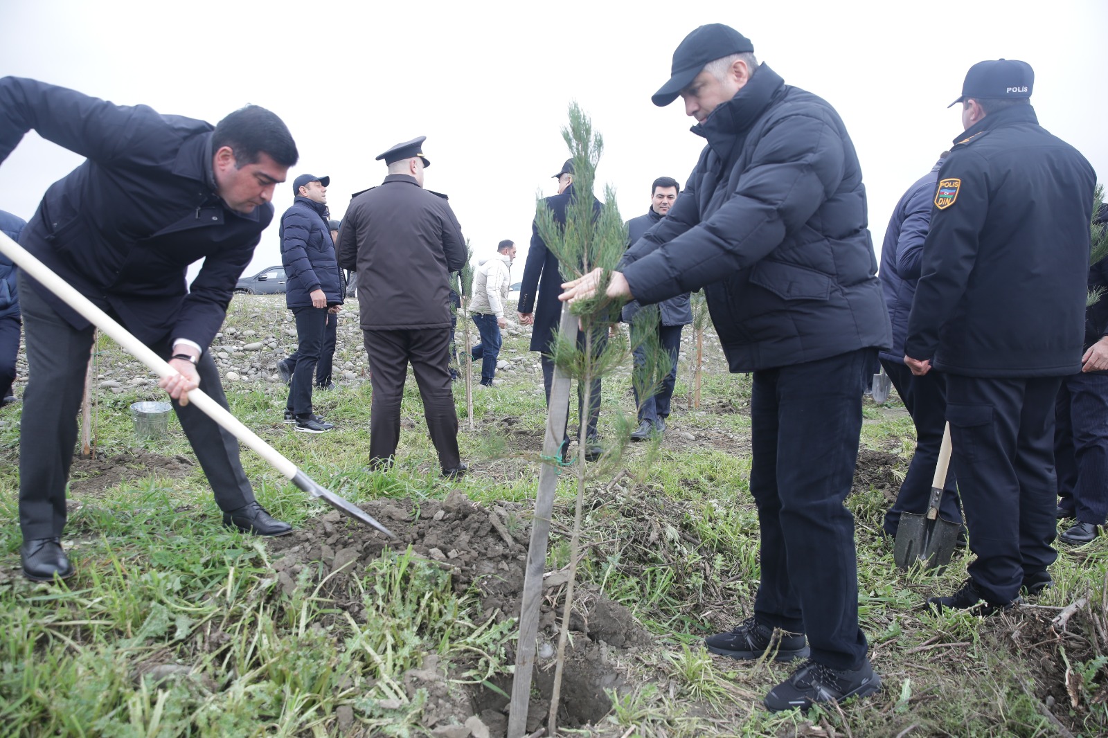 Xaçmazda növbəti ağacəkmə aksiyası keçirilib (FOTO)