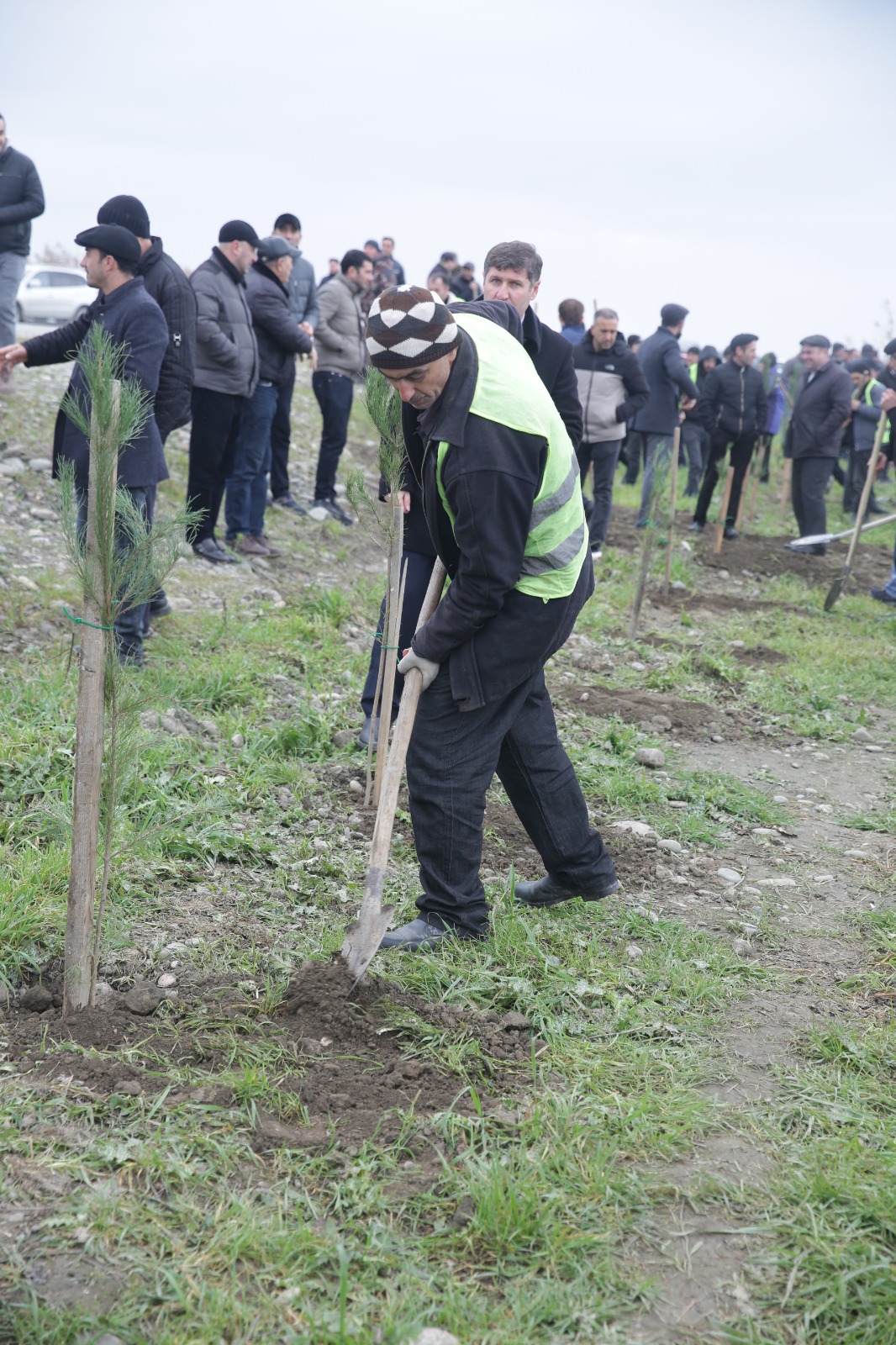 Xaçmazda növbəti ağacəkmə aksiyası keçirilib (FOTO)