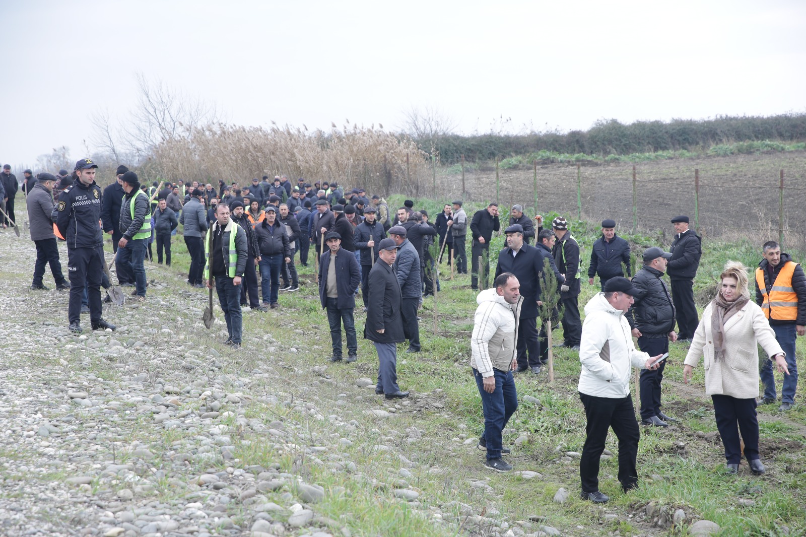 Xaçmazda növbəti ağacəkmə aksiyası keçirilib (FOTO)