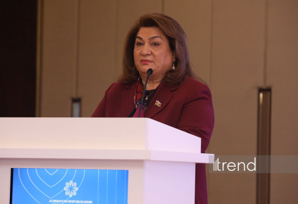 Süni intellektin hüquqi statusu müzakirə mövzusudur - Hicran Hüseynova