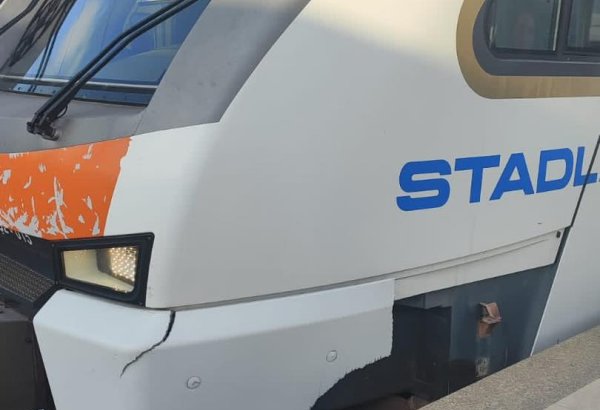 Bu il ADY qatarlarının qarşısına 54 dəfə qəfil heyvan çıxıb