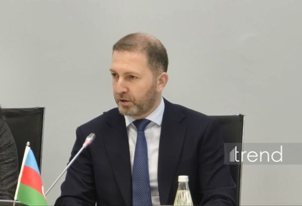 Azərbaycandan Türkiyəyə “yaşıl enerji” ixracı üzrə layihələr dəyərləndirilir - Ticarət nümayəndəsi (MÜSAHİBƏ)