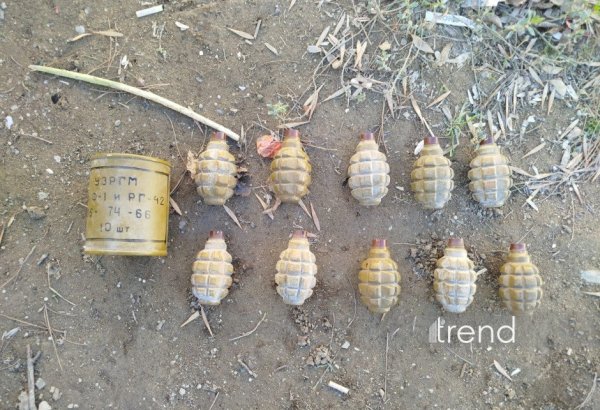 Paytaxtda 10 ədəd əl qumbarası tapılıb