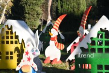 Bakı Yeni il ərəfəsində (FOTOREPORTAJ)