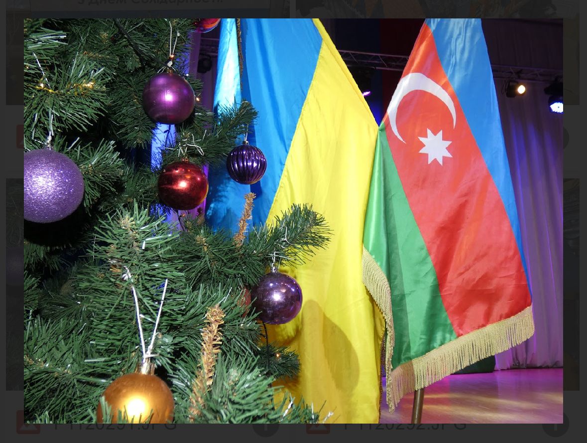 Ukraynadakı soydaşlarımız Həmrəylik Günündə bir araya gəliblər (FOTO)