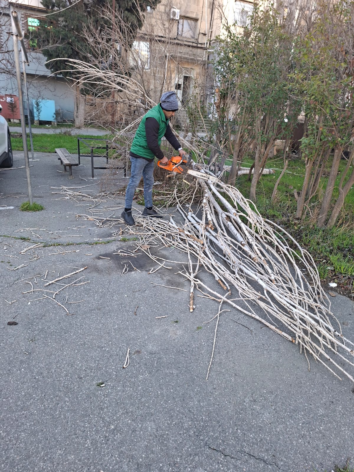 Bakıda güclü külək nəticəsində 8 ağac sınıb (FOTO)