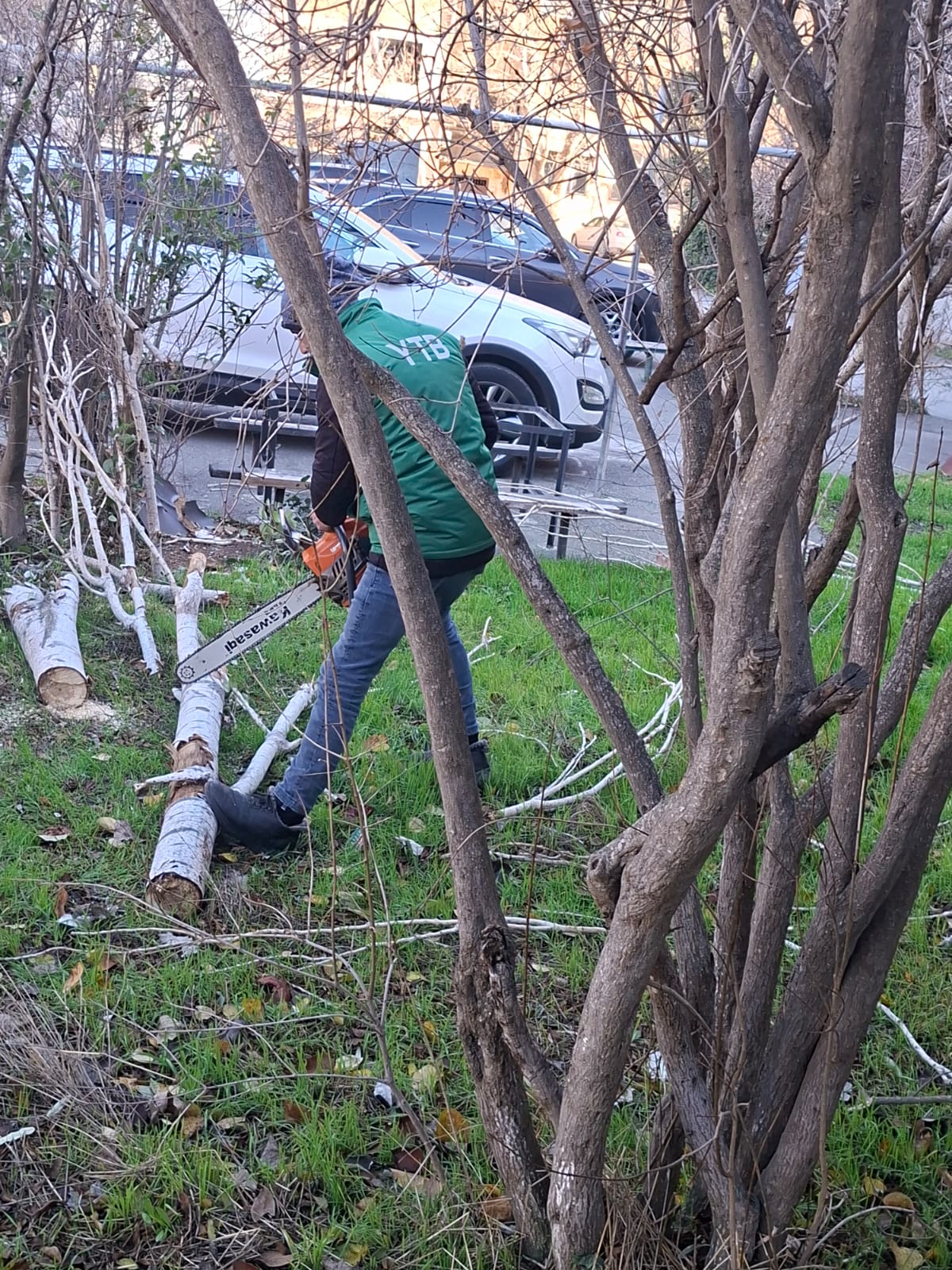 Bakıda güclü külək nəticəsində 8 ağac sınıb (FOTO)