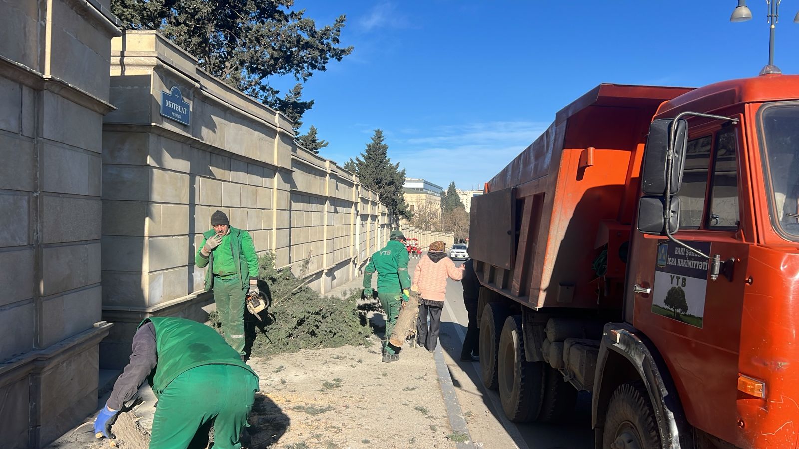 Bakıda güclü külək nəticəsində 8 ağac sınıb (FOTO)