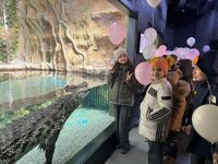 Leyla Əliyevanın təşəbbüsü ilə Bakı Zooloji Parkında uşaqlar üçün bayram tədbiri təşkil olunub (FOTO)