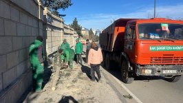 Bakıda güclü külək nəticəsində 8 ağac sınıb (FOTO)