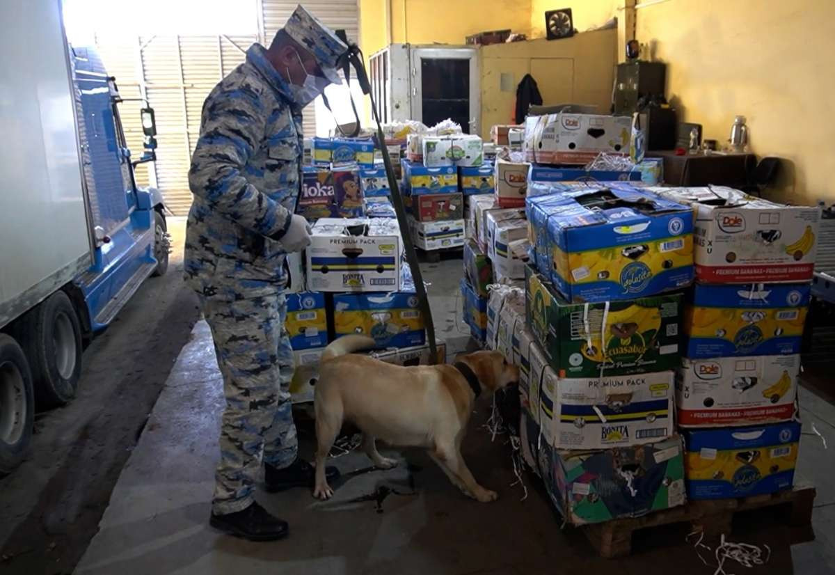 "Qarpız" yükünün içərisində xüsusilə külli miqdarda narkotik vasitə aşkarlanıb (FOTO)