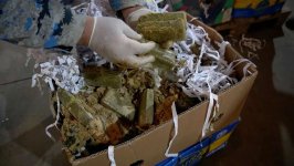 "Qarpız" yükünün içərisində xüsusilə külli miqdarda narkotik vasitə aşkarlanıb (FOTO)