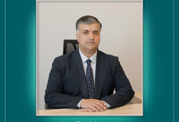 Dövlət Məşğulluq Agentliyinin İdarə Heyətinə yeni sədr təyin edilib