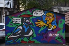 Bakı küçələrində qraffiti sənəti - duya, danışa və dəyişə bilən canlı orqanizm (FOTO)