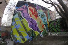 Bakı küçələrində qraffiti sənəti - duya, danışa və dəyişə bilən canlı orqanizm (FOTO)