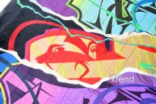 Bakı küçələrində qraffiti sənəti - duya, danışa və dəyişə bilən canlı orqanizm (FOTO)