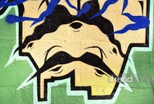 Bakı küçələrində qraffiti sənəti - duya, danışa və dəyişə bilən canlı orqanizm (FOTO)